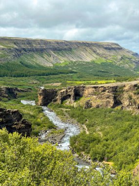 Nehir ve yeşillik akan manzaralı kanyon