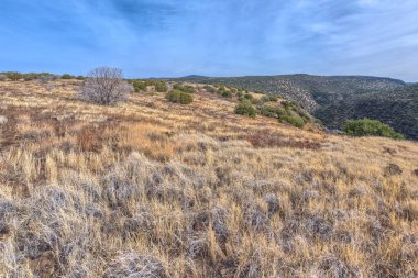 Beyaz Mesa Arizona Zirvesi