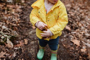 Toddler in rain gear on winter walk holding leaf clipart