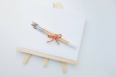 Temel boyama gereksinimleri: tuval, fırçalar, beyaz arka plan