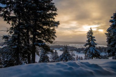 fresh snow from an over night snow dump in Pagosa Springs. clipart