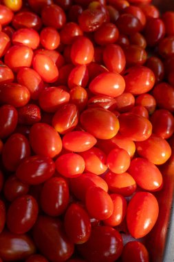 Organik kırmızı küçük domatesleri kapat