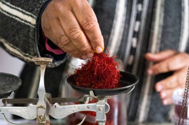 A hand placing saffron strands onto a balance scale for weighing clipart