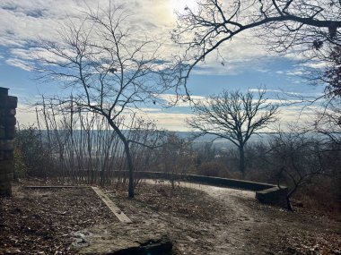 Ağaçlar ve parlak gökyüzünün altındaki sisli vadiye bakan toprak bir patika.