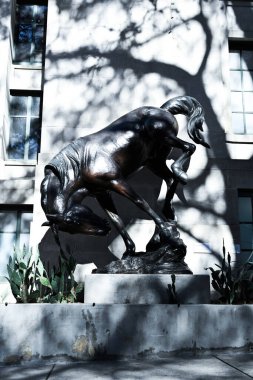 Binaya yakın gölgelerde at heykeli ve ışık