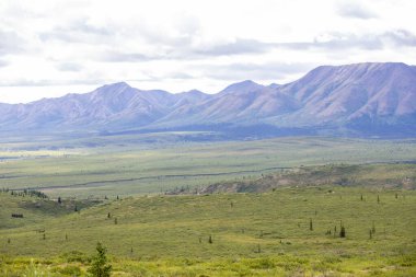 Denali Ulusal Parkı 'nda çarpıcı bir dağ manzarası