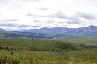 Denali Milli Parkı 'ndaki dağ manzarası