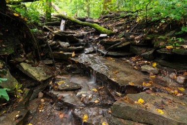 Akan Orman Şelalesi Bulmak