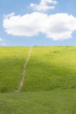 Worn Path on Bright Green Grassy Hill Under Blue Sky with Puffy Cloud clipart