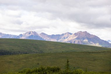 Denali Milli Parkı 'ndaki dağ manzarası