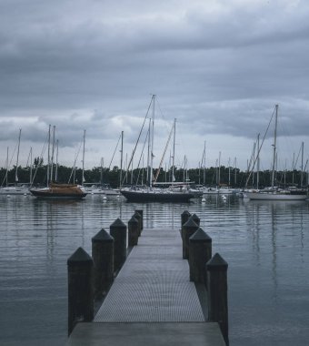 Hindistan cevizi koruluğunda tekneler Miami yağmur gününde