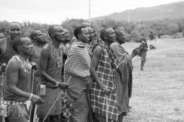 Group of Maasai Men in Traditional Dance Outdoors in Black and White clipart