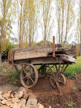 Weathered Old Wooden Wagon Cart in Rustic Farm Setting with Tall Trees clipart