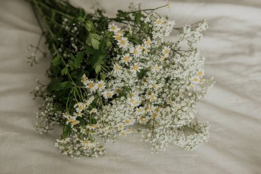 Sıcak tonlarda, yumuşak bir odak noktasında, papatya ve bebek nefesi.