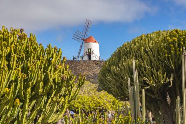 El Jardn de Cactus, Manrique Çarı 'nın son büyük eseridir.