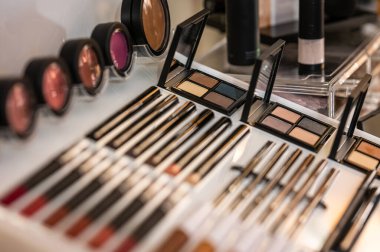 Profesyonel makyaj paletleri ve fırçalar başvuru için ayarlandı.