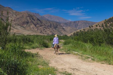 Bir çiftçi Mutlu Vadi 'de eşeğe biniyor. Bouguemez 'de