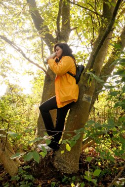 Huzurlu bir orman yürüyüşü sırasında termostan gelen çay.