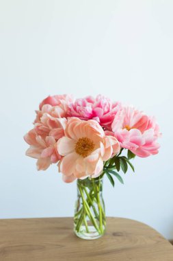 Tarafsız bir arkaplanda çiçek açan şakayık buketi