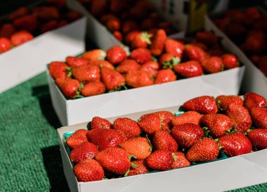 Strawberries in the Warm Sunlight at the Farmers Market clipart