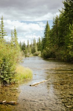 Canmore 'da bulutlu gökyüzünün altında yemyeşil akan berrak nehir.