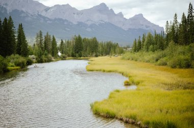 Polis Deresi, Canmore 'daki dağlarla birlikte çayırlarda akıyor.