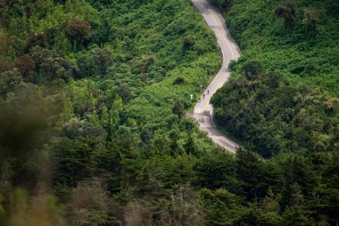 Üç bisikletlinin dolambaçlı yoldan yeşil ormana gidişinin huzurlu manzarası.