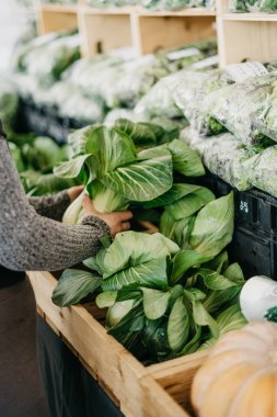 Bok Choy for Sale at Farmers Market clipart