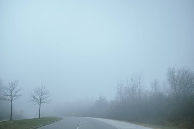 Illinois 'de ağaçlar çıplak ve görüş mesafesi düşük sisli bir yol.