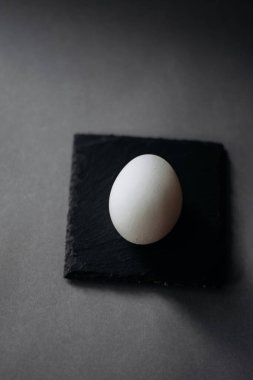 One white egg close up