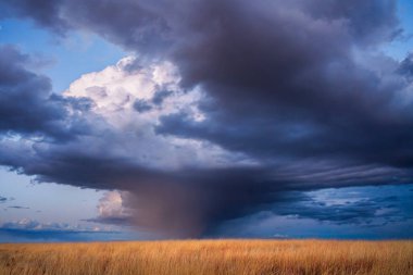 Kurumuş çimlerin üzerinde dramatik fırtına bulutları