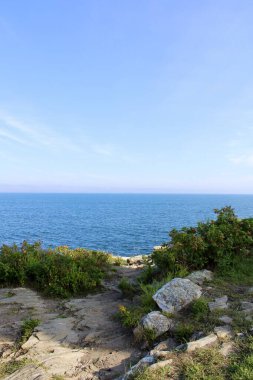 Edge of the cliffs leading to the ocean clipart