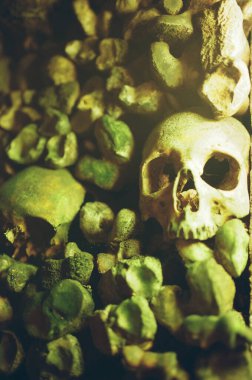 Ürkütücü, loş bir ortamda yosun kaplı kemiklerin arasında bir insan kafatası..