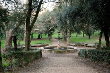Ağaçlarla dolu, bereketli bir parkta zarif bir çeşme.