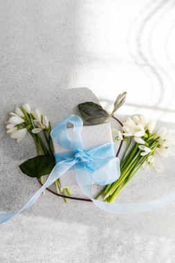 Soluk mavi kurdeleli hediye kutusu