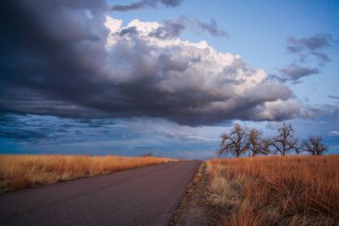 Gökyüzünde fırtına bulutları olan bir tarlada yol.