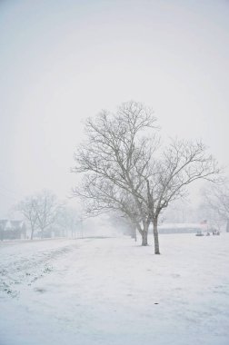 Çıplak ağaçlar ve Amerikan bayrağı ile karla kaplı kırsal alan
