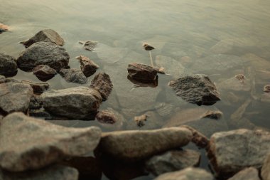 Gölün kıyısında dalgalı kayalıklara yakın.