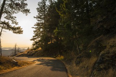 Orcas Adası, Washington 'dan manzara