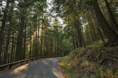 Orcas Adası, Washington 'dan manzara