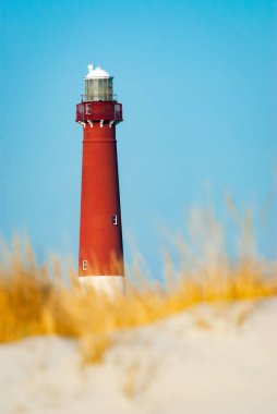 Mavi kuş kış gününde Barnegat Deniz Feneri
