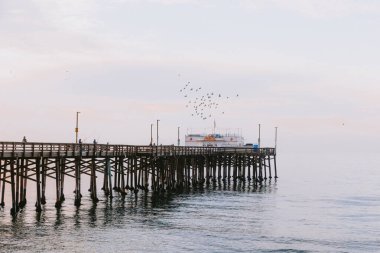 Birds flying over Ruby's on Newport Pier on cold foggy morning clipart