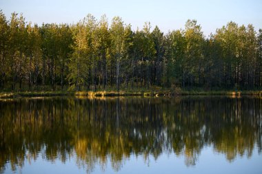 Günbatımında sakin göle yansıyan sonbahar ormanı
