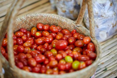 Sepette taze olgun domates