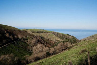 Suyun kenarında yeşil vadiler
