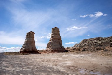 Arizona 'da fil ayağı kaya oluşumları