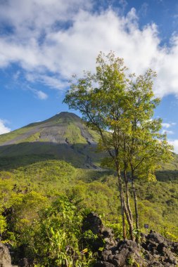Turist parkının bittiği yerden Arenal Volkanı 'nın manzarası