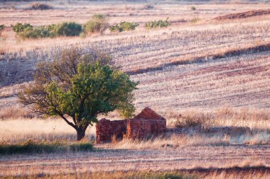 Alhambra 'da badem ağacı olan harabeler içinde bir ev.