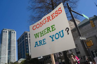 Birmingham, Alabama 'da yönetim karşıtı bir gösteri.