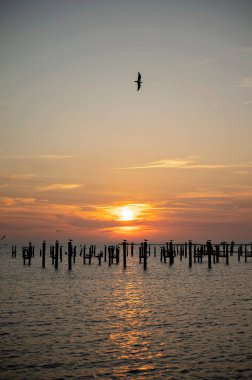 Güneş sakin bir okyanusun üzerinde batarken kuşlar tahta direklerde dinleniyor.